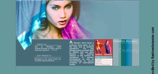 flash design professional 2004 shingora shawls fashion accessories catalog Shingora is a renowned brand name in shawls in india and world over. Giving a make over to a recognized name is always tough. The design stood out and spoke for itself.