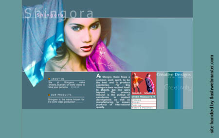 flash design professional 2004 shingora shawls fashion accessories catalog Shingora is a renowned brand name in shawls in india and world over. Giving a make over to a recognized name is always tough. The design stood out and spoke for itself.