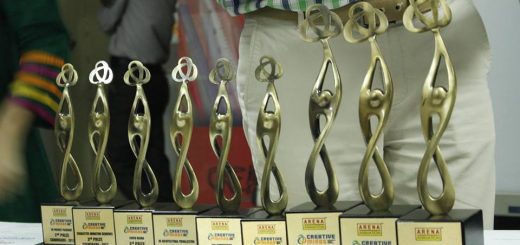 creative minds awards arena chandigarh 17